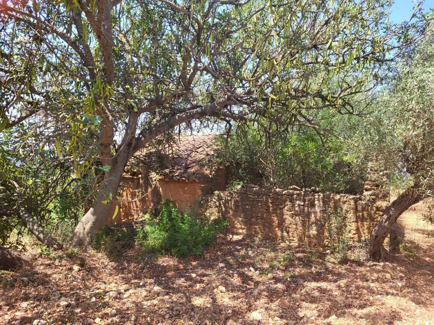 Casa rústica en venda a Vall d'Alba, imagen 17