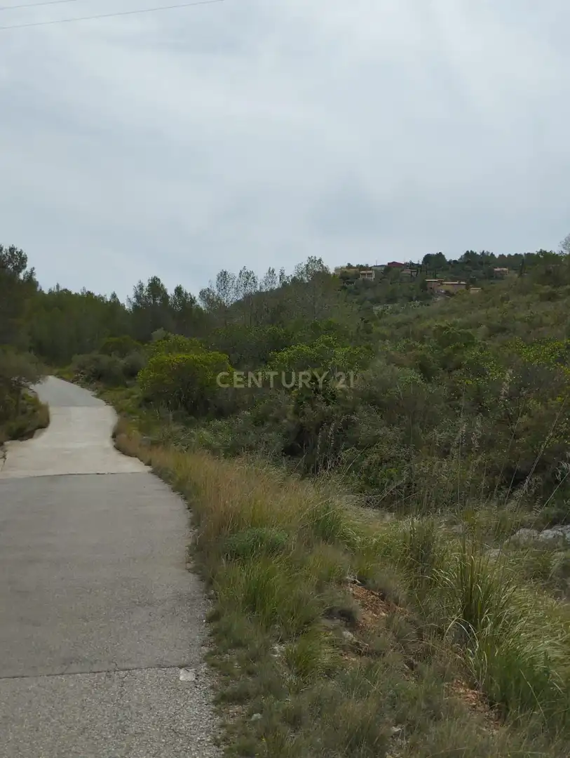 Terreny rústic en venda a poligono 3, imagen 19