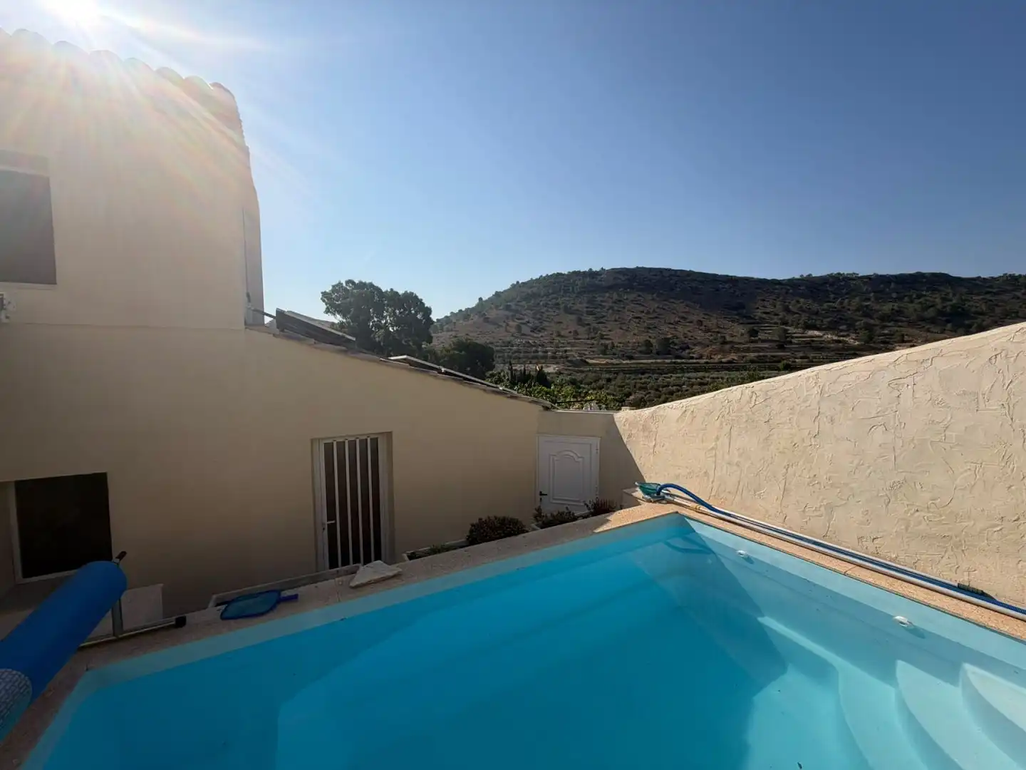 Piscina de Finca rústica en venta en Aspe
