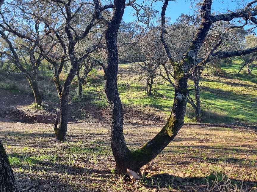 Exterior view of Residential for sale in Guillena