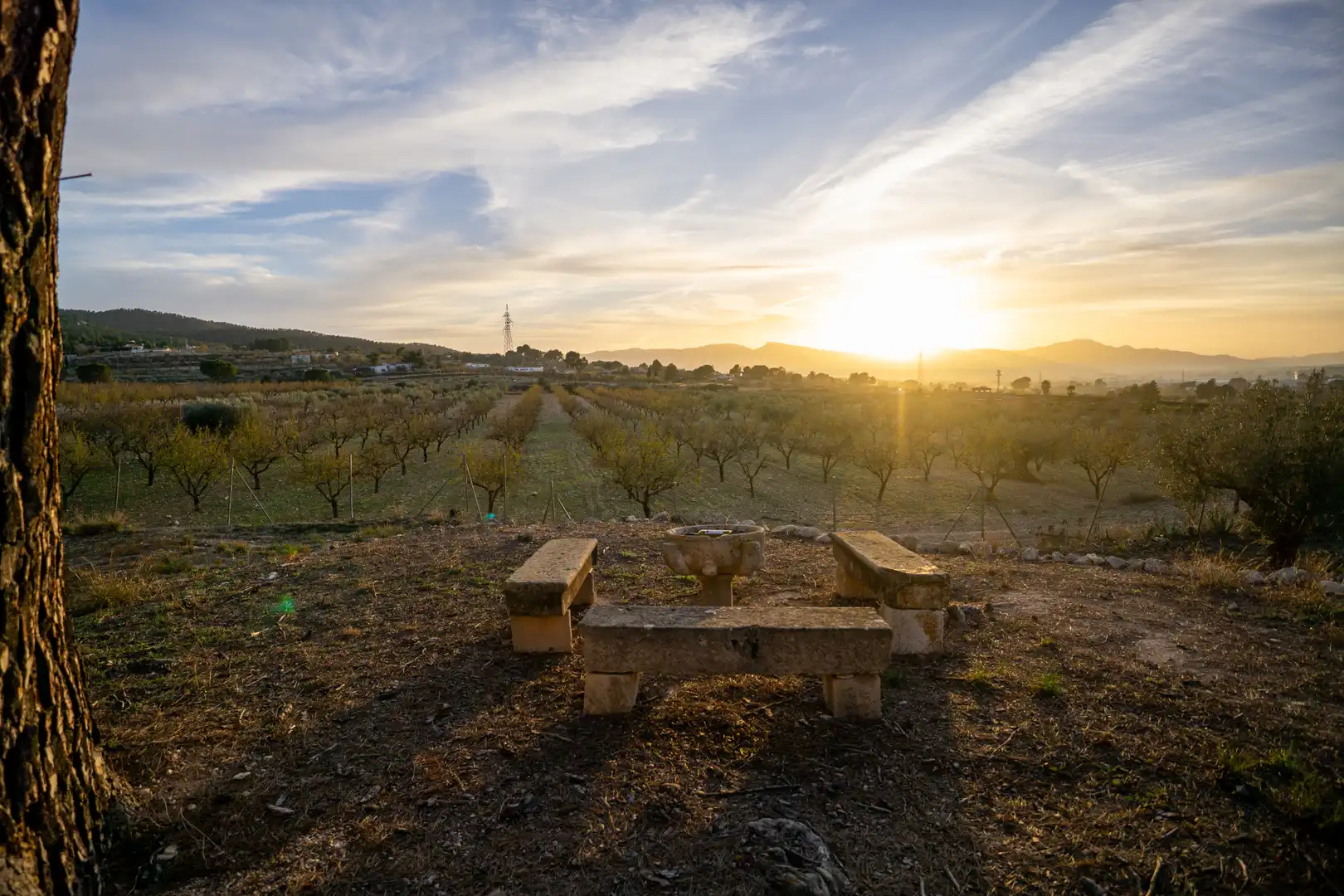 Vista exterior de Finca rústica en venta en Ibi con Jardín privado, Terraza y Piscina