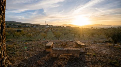 Foto 3 de Finca rústica en venda a Partida Plans, 1, Ibi, Alicante