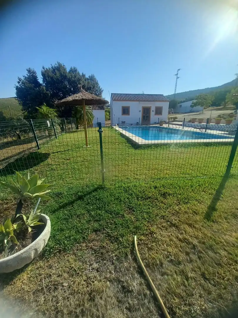 Piscina de Finca rústica en venda en Arcos de la Frontera amb Jardí privat i Piscina comunitària