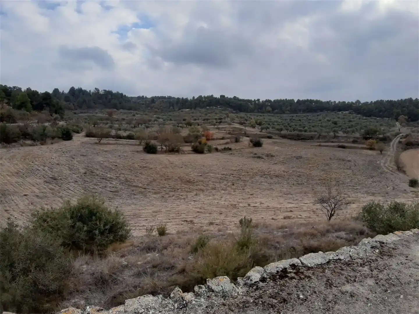 Grundstücke zum Verkauf in Maldà, Lleida