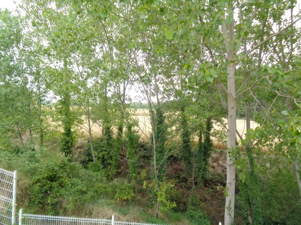 Casa en venda a Cuzcurrita de Río Tirón, imagen 32