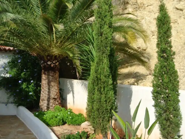 Casa con piscina en venta en Carrer des Munt Kilimanjaro 159, imagen 14