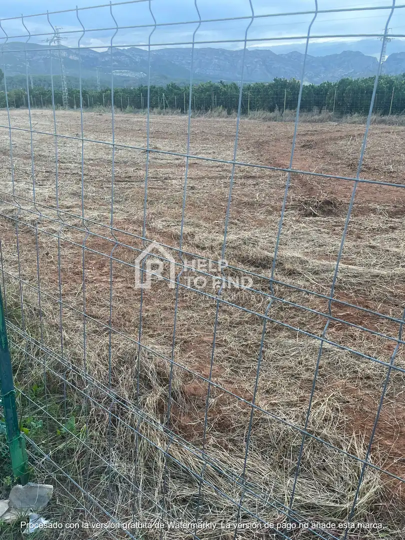 Terreno rústico en venta en Palma de Gandia, imagen 3