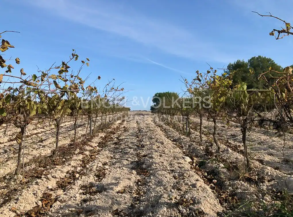Fabrik Grundstücke zum Verkauf in Avinyonet del Penedès