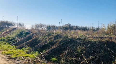 USO AGRÍCOLA A 1ª LÍNEA DE MAR, immagine 5