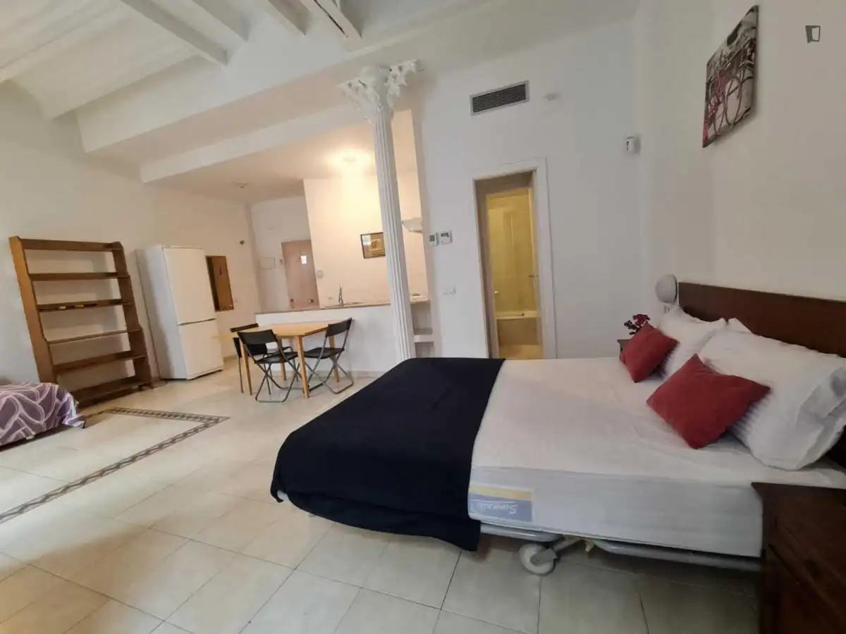 Study for rent in El Raval