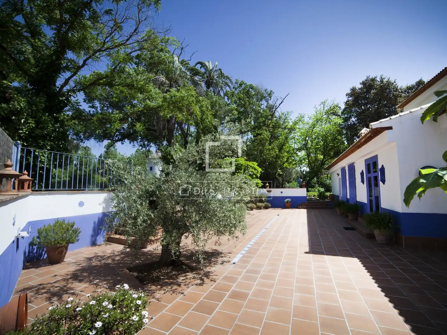 Vista exterior de Finca rústica en venda en Archidona amb Aire condicionat, Calefacció i Jardí privat
