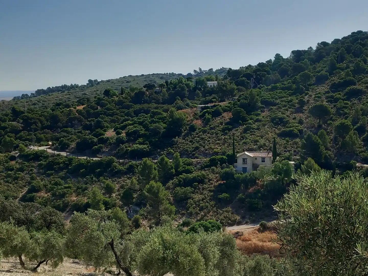Finca rústica en venta en San Antonio O Guardarropa Pol 115.par 8,9 y 15, Osuna