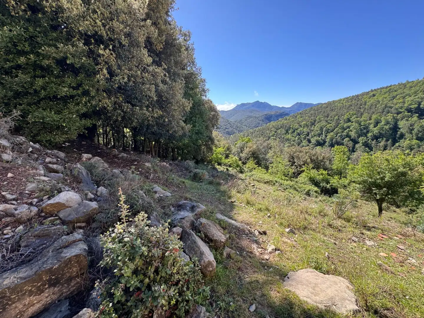 Finca rústica en venta en Albanyà con Jardín privado, Terraza y Trastero
