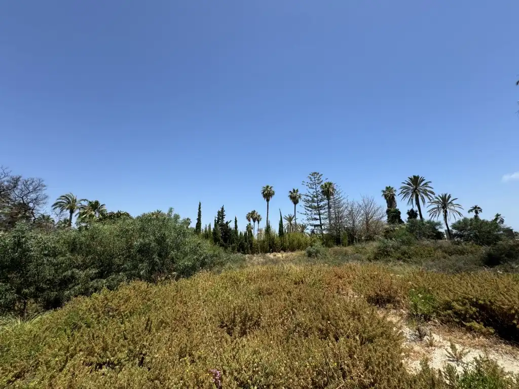 Terreny rústic en venda a Nueva Andalucía, imagen 8