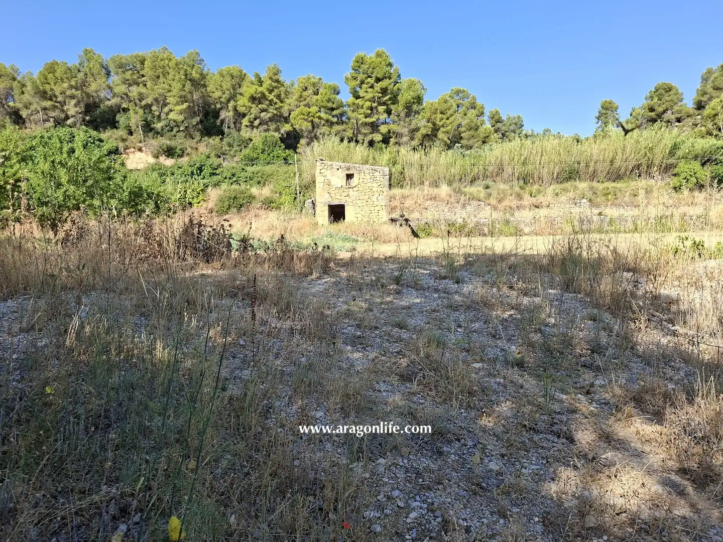 Finca rústica en venda en Mazaleón