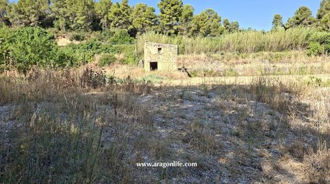 Foto 4 de Finca rústica en venda a Calle Umbría, Mazaleón, Teruel