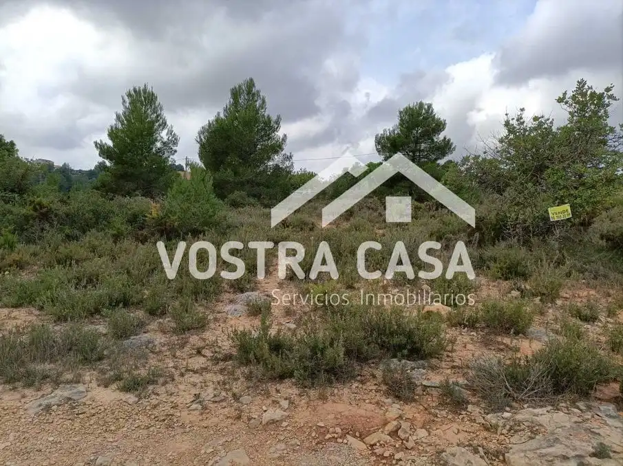 Terreno rustico in vendita a LOMA CABALLEROS, imagen 7