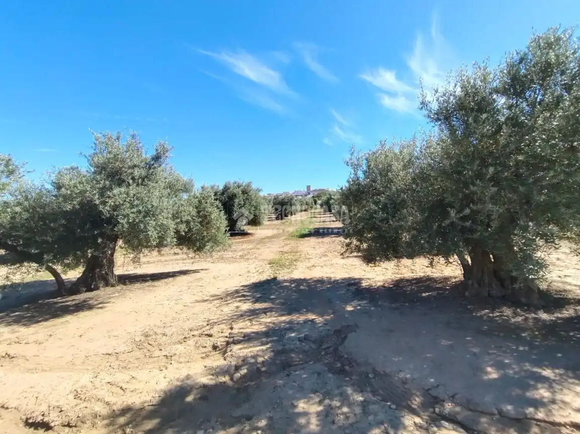 Terreni e lotti in vendita a Mengíbar, imagen 3