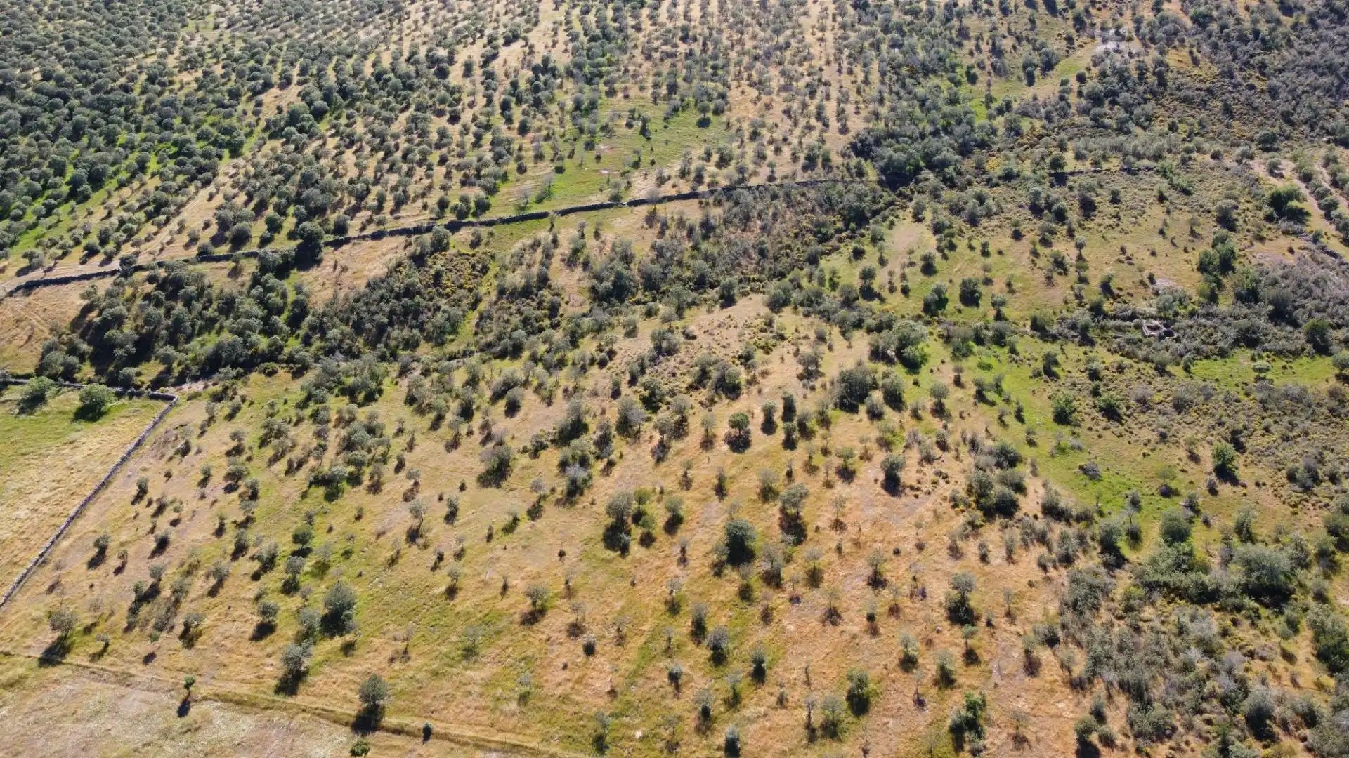 Finca rústica en venda en Puebla de Guzmán amb Jardí privat i Moblat