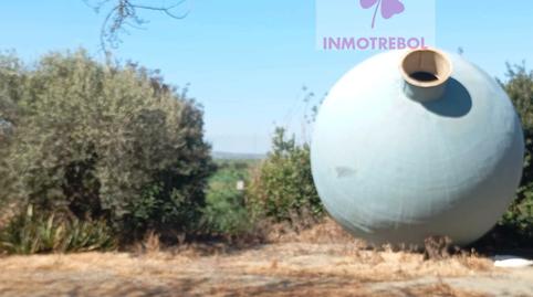 Foto 4 de Casa o xalet en venda a Carrión de los Céspedes, Sevilla