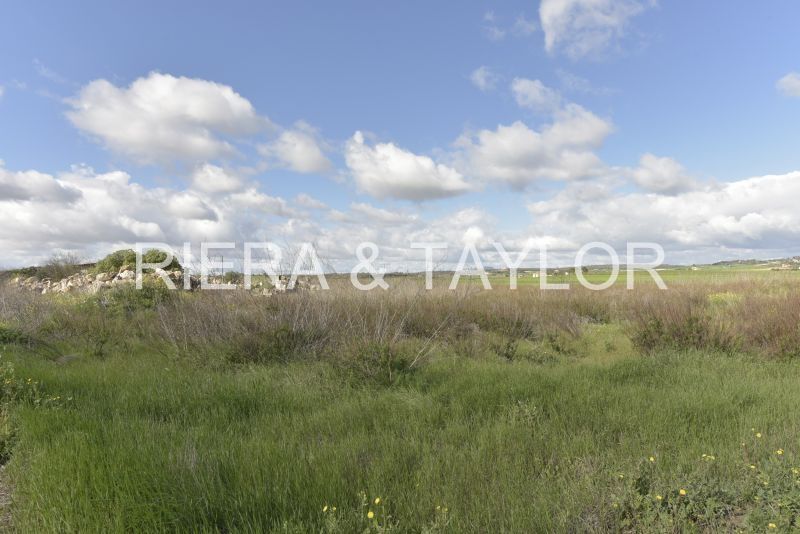 Finca rústica en venda en Vilafranca de Bonany