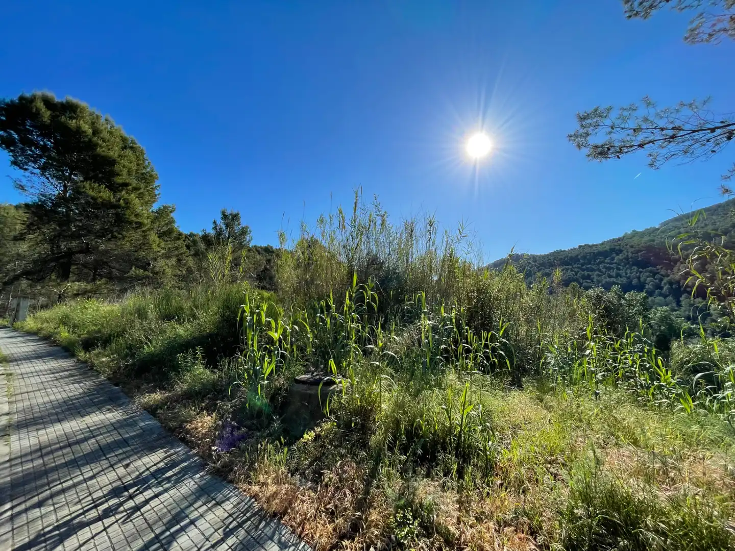 Residential land for sale in Corbera de Llobregat, imagen 4