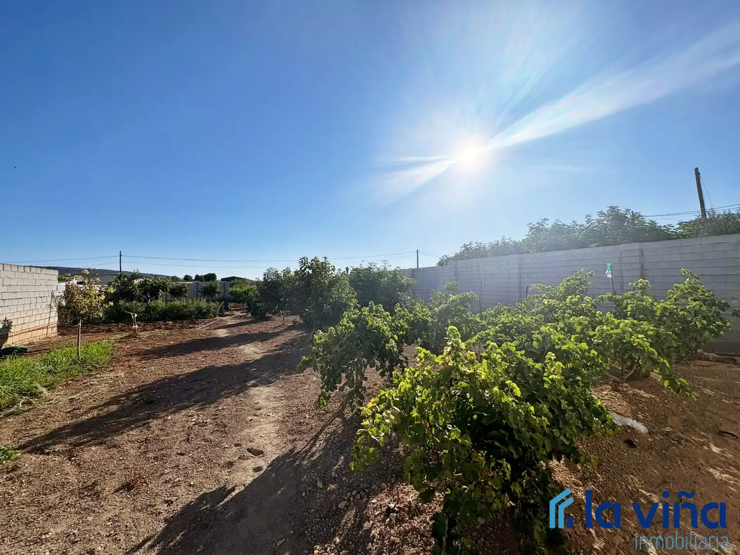 Rural land for sale in Mollina, imagen 10