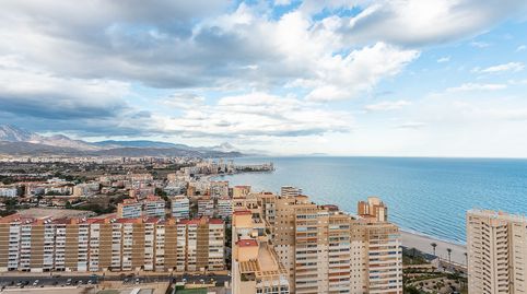 Foto 5 de Piso de alquiler en Carrer de la Figuera, 4, Playa Muchavista, El Campello
