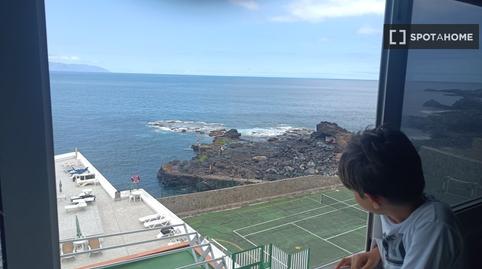 Photo 5 of Study to share in Puerto de Santiago, Santa Cruz de Tenerife