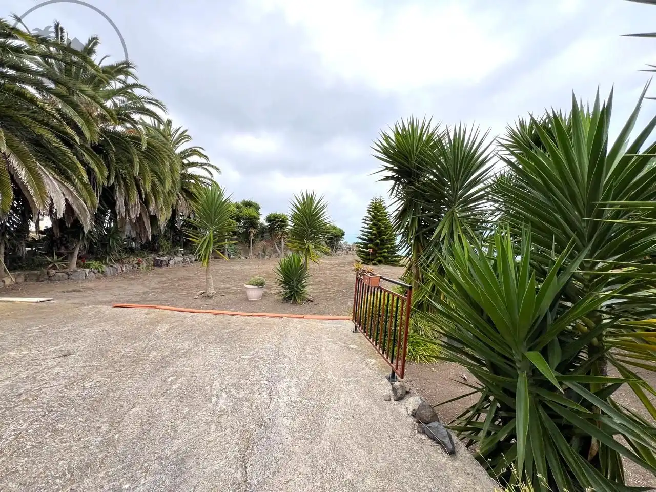 Maison rustique avec jardin à vendre à La Vega - El Amparo - Cueva del Viento, imagen 19