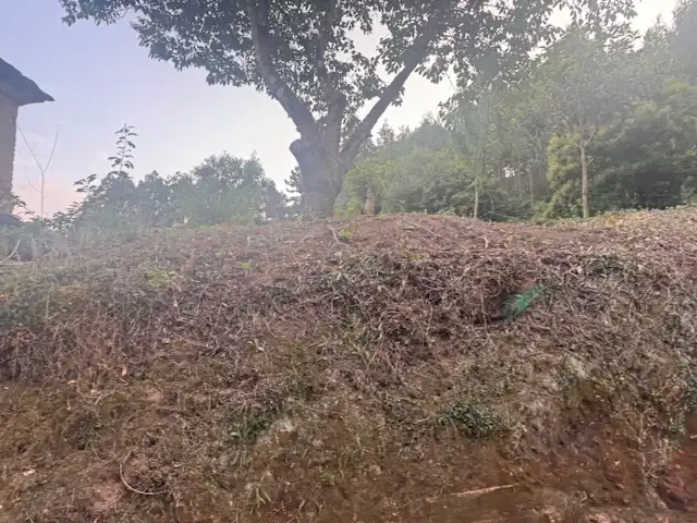 Country homes for sale in San Tirso de Abres