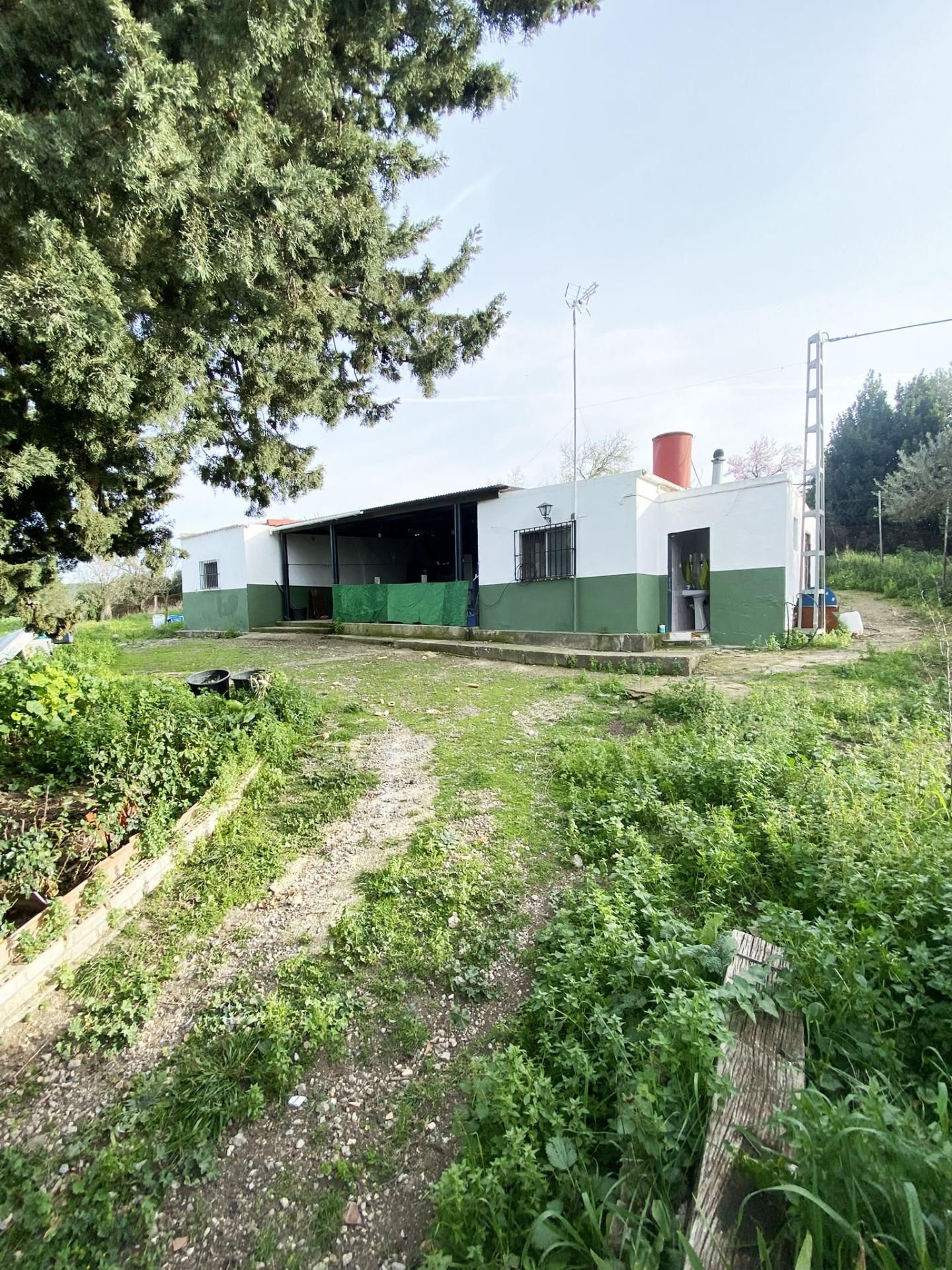 Exterior view of House or chalet for sale in Alcalá de los Gazules  with Heating, Private garden and Terrace