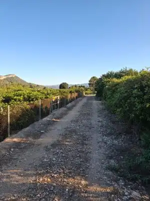 Terrain rustique à vendre à Terrenos MARXUQUERA  ALTA, imagen 10