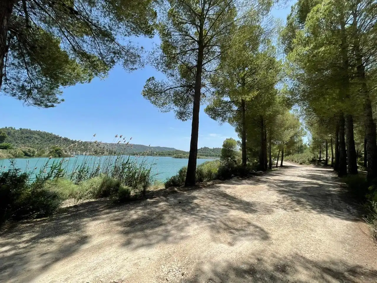 Villa avec piscine à vendre à Calasparra, imagen 42