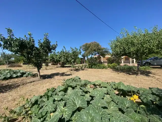 Finca rústica en venta en Sonseca con Calefacción, Jardín privado y Terraza