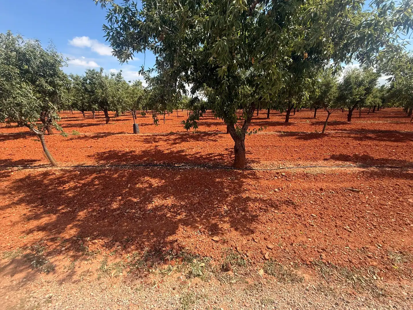 Finca rústica en venda en Cartagena amb Aire condicionat, Terrassa i Traster