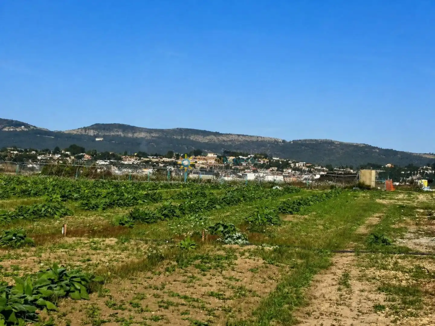 Finca rústica en venta en Benigànim con Terraza y Trastero