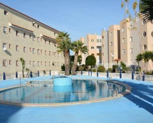 Swimming pool of Planta baja for sale in Torrevieja  with Terrace and Community pool