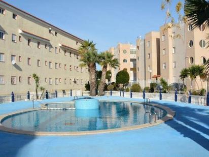 Piscina de Planta baixa en venda en Torrevieja amb Terrassa i Piscina comunitària