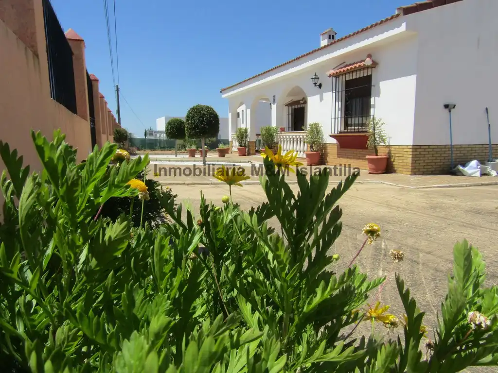Vista exterior de Casa o chalet en venta en Ayamonte con Jardín privado, Terraza y Amueblado