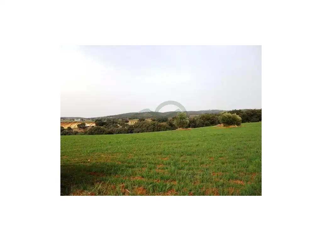 Terreny residencial en venda a Arriate, imagen 2