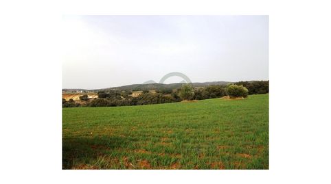 Terreno para Casa de CampoHotel Rural, imatge 2