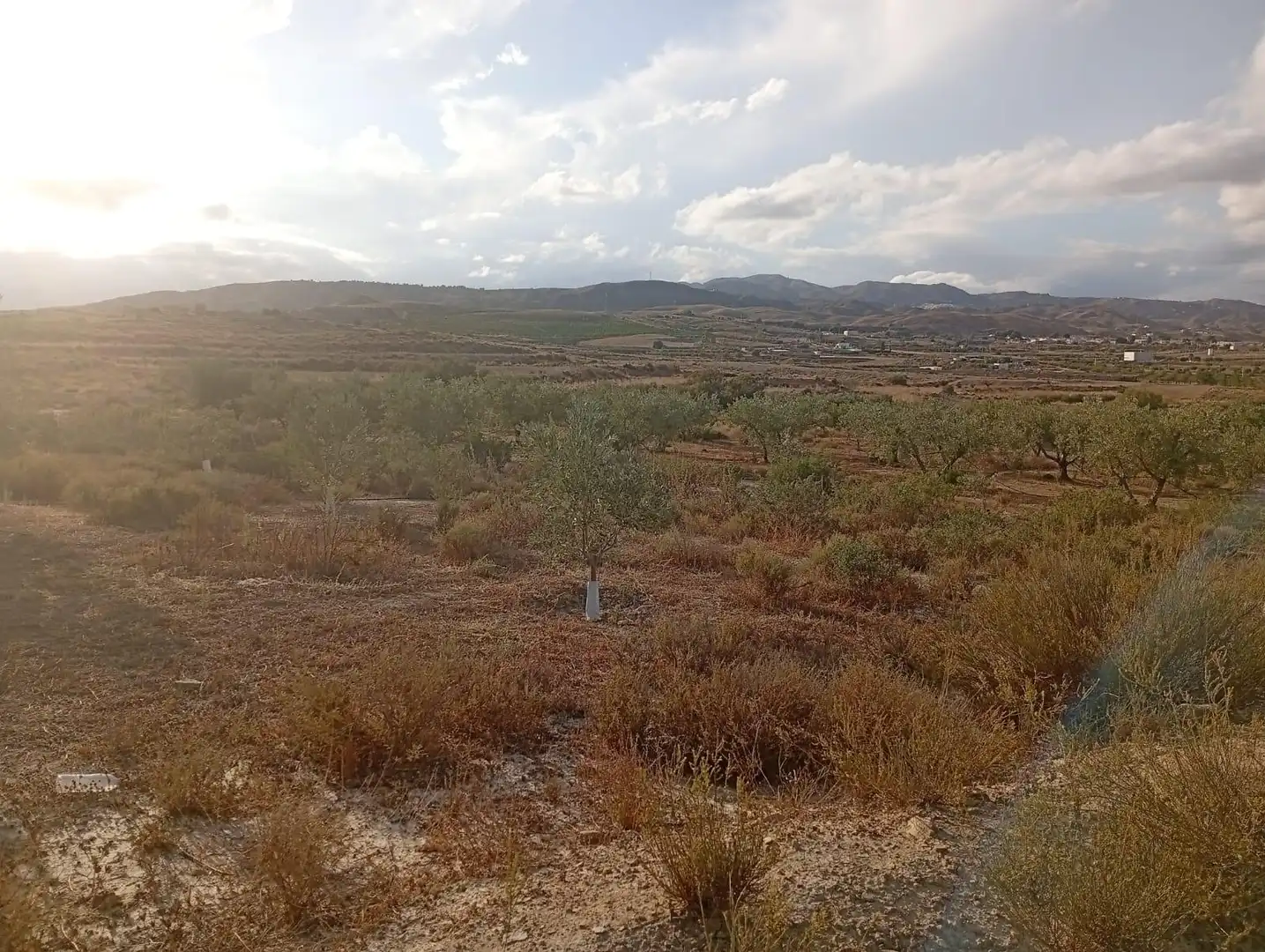 Terrenys i solars en venda a Los Gallardos, imagen 20