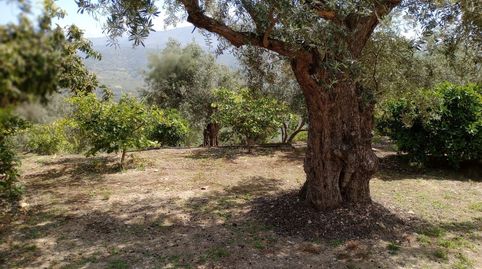 Terreno en venta en Pinos del Valle., imatge 3