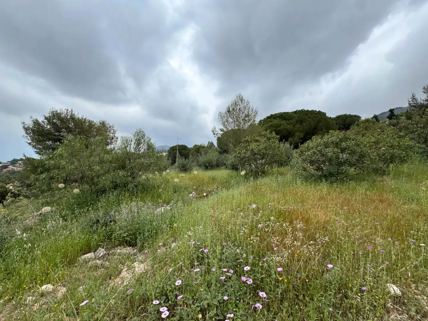 Terreni e lotti in vendita a Pinos de Alhaurín - Periferia, imagen 4