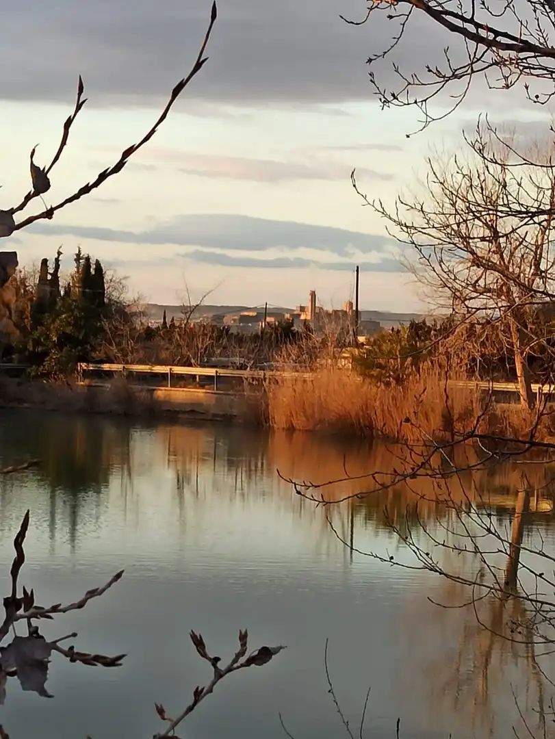 Terreny rústic en venda a Partides de Lleida, imagen 4