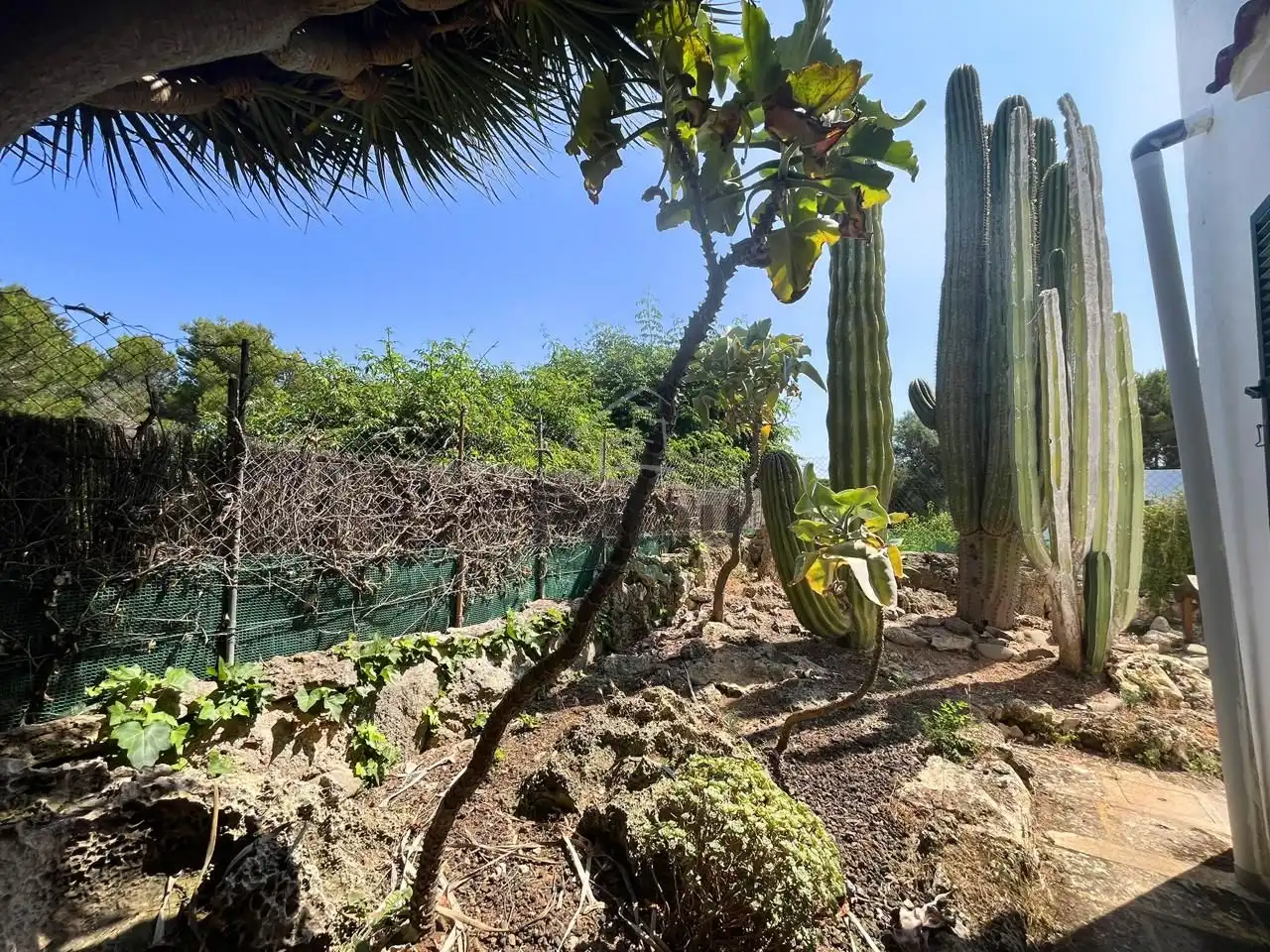 Jardí de Casa o xalet en venda en Ciutadella de Menorca amb Aire condicionat, Jardí privat i Terrassa