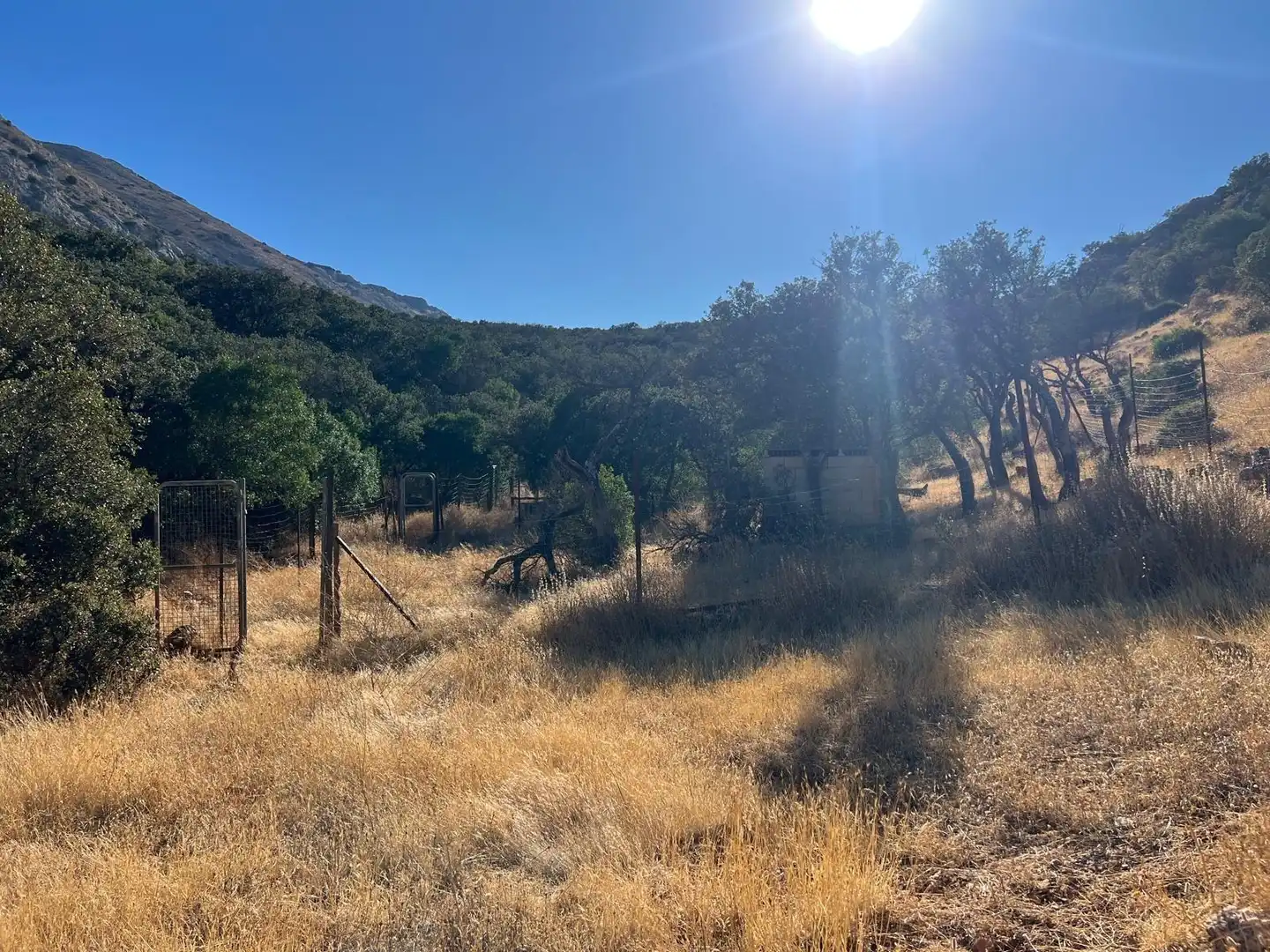 Finca rústica en venda en Antequera