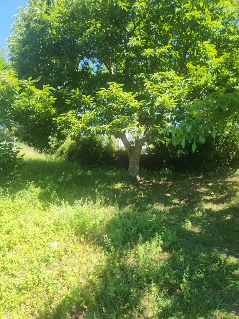 Haus zum Verkauf in Sedes - Pedroso - Doso, imagen 21