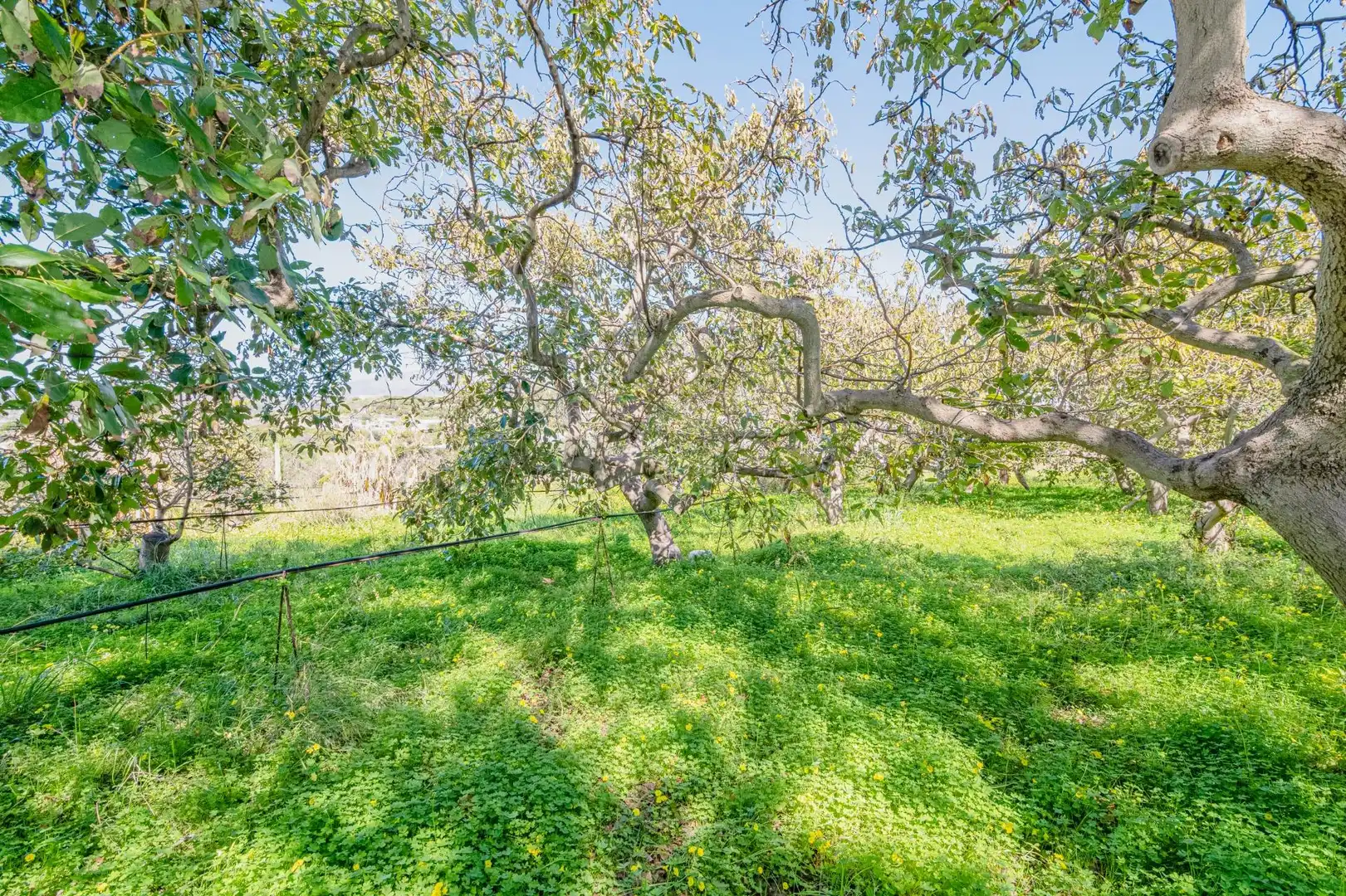 Casa o chalet en venta en Motril con Jardín privado, Terraza y Piscina